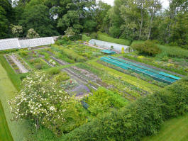 Herb Nursery